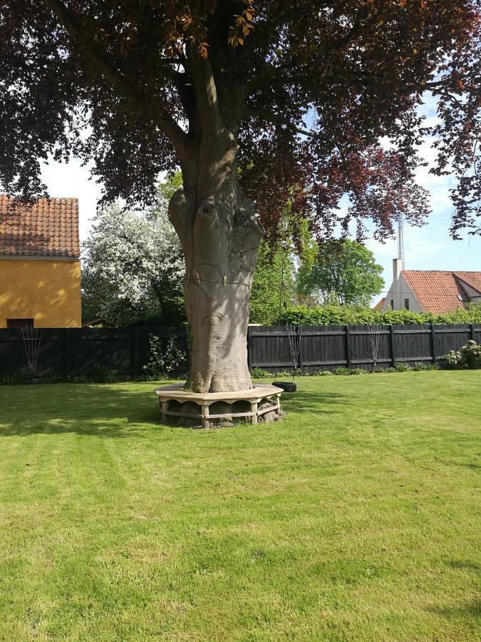 Bed and Breakfast Kjobing Manor à Ærøskøbing Extérieur photo