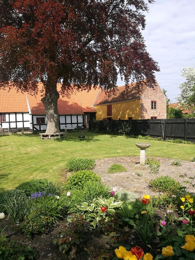 Bed and Breakfast Kjobing Manor à Ærøskøbing Extérieur photo